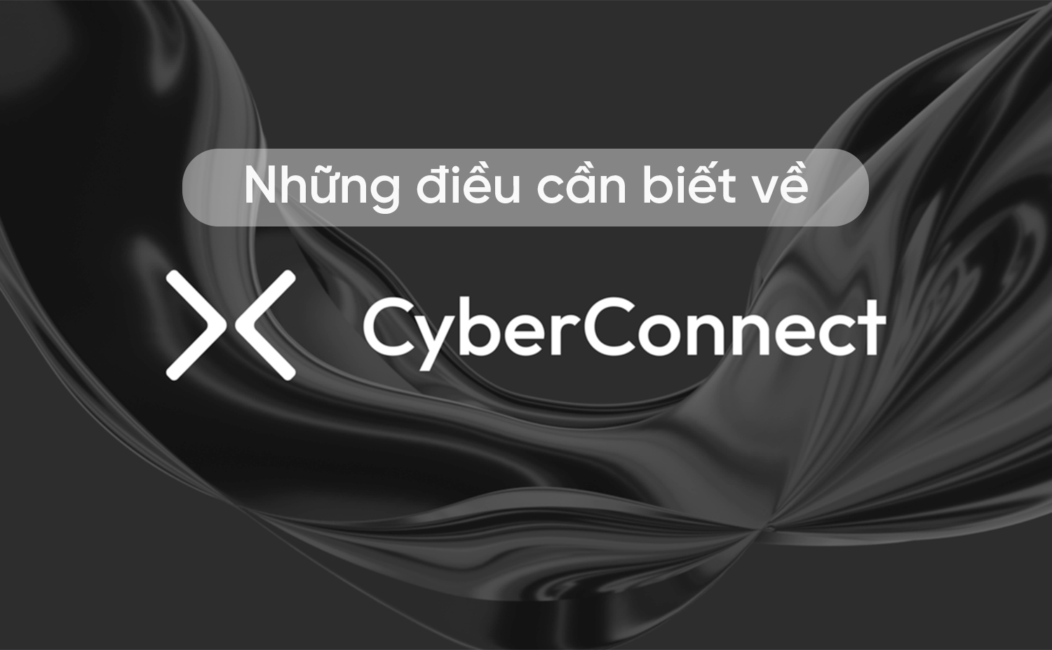 CyberConnect (Cyber) là gì? Điều gì khiến loại tiền điện tử này trở nên khác biệt?